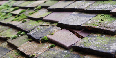 Shepshed roof repair costs